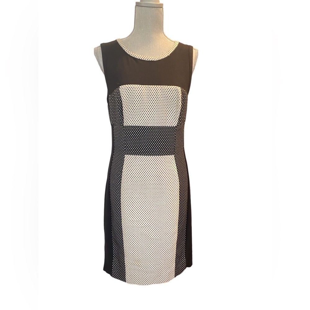 ANTHROPOLOGIE YOANA BARASCHI SHESTH DRESS (0844)